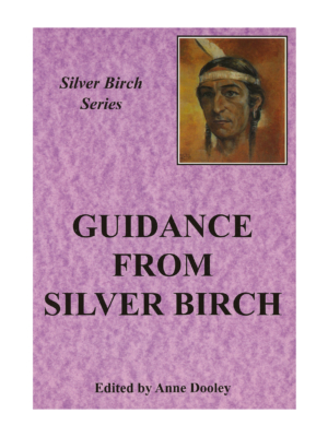 Silver Birch Series - Guidance from Silver Birch