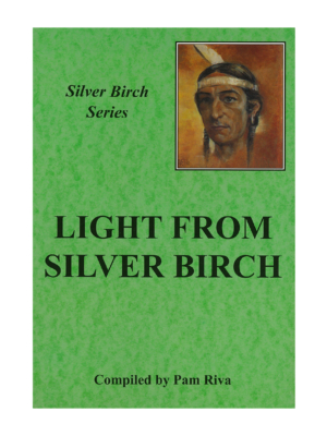 Silver Birch Series - Light from Silver Birch
