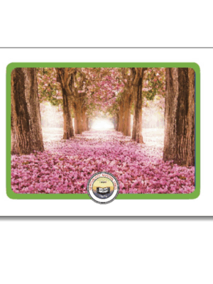 Healing Thoughts Artcards