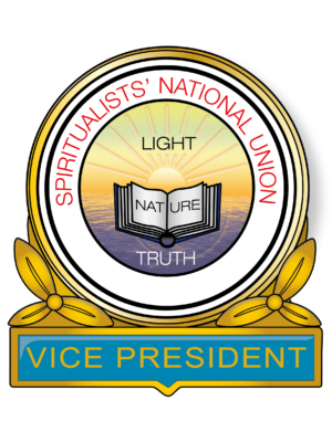 Vice president Pin Badge