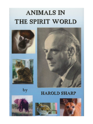 Animals in the Spirit world