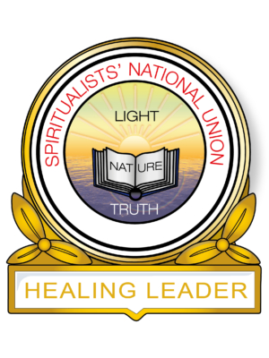 Healing Leader Pin Badge