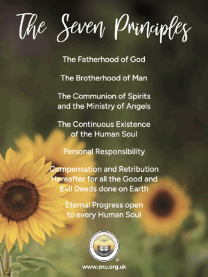 Seven Principles Sunflower Poster